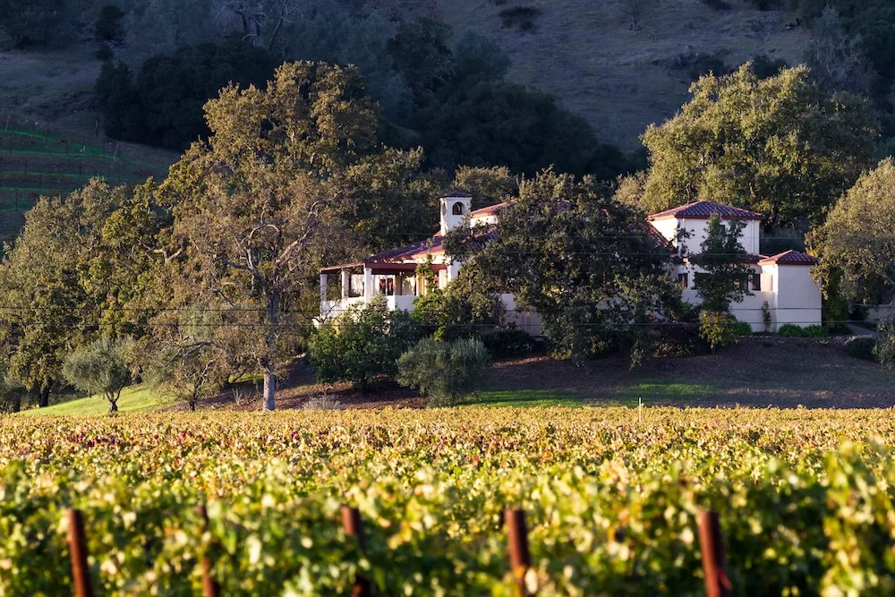 Vineyard estate in Calistoga during an executive leadership offsite in Napa Valley