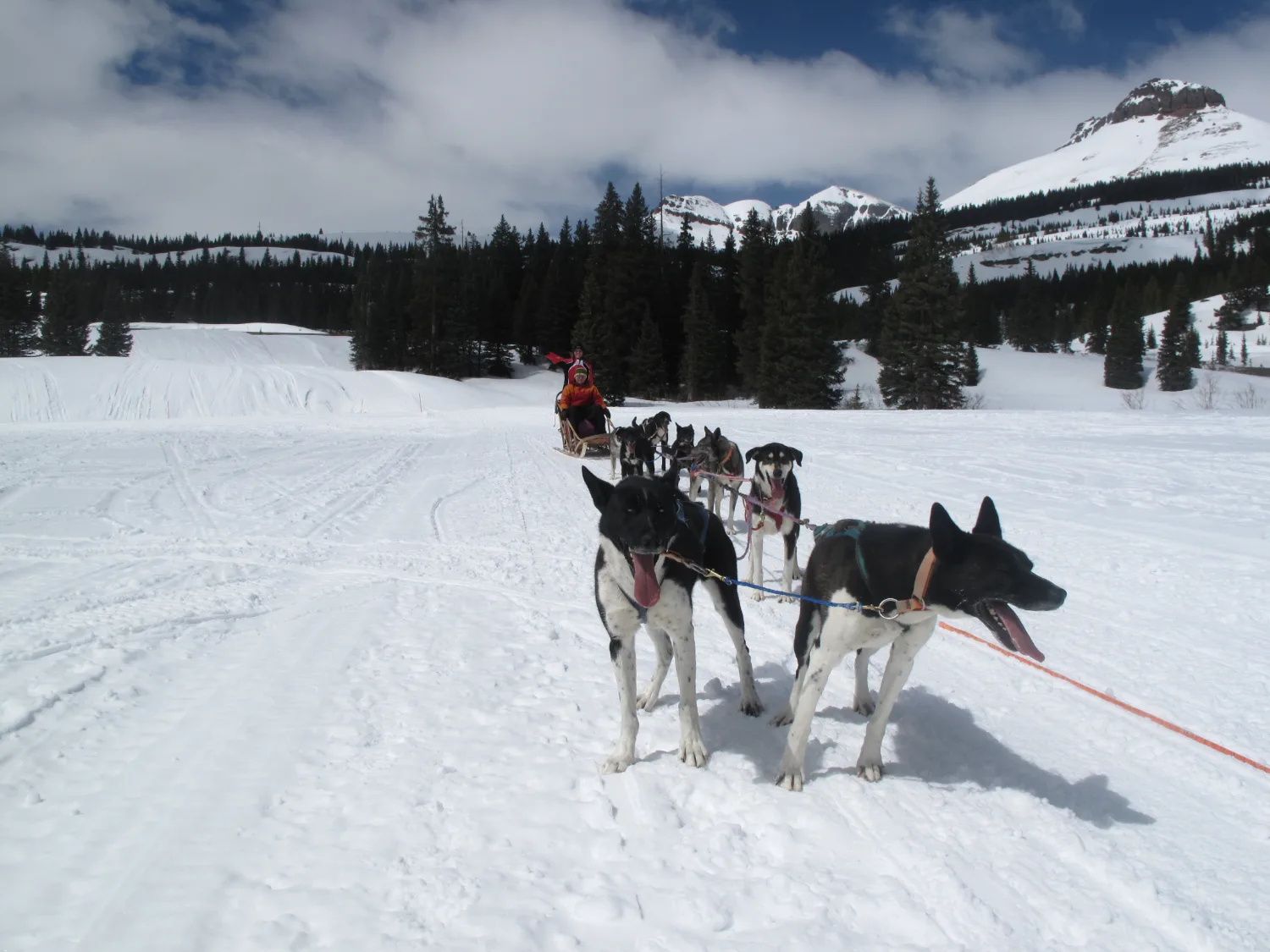 Dog-sled team running toward snow-capped peaks on a winter leadership retreat